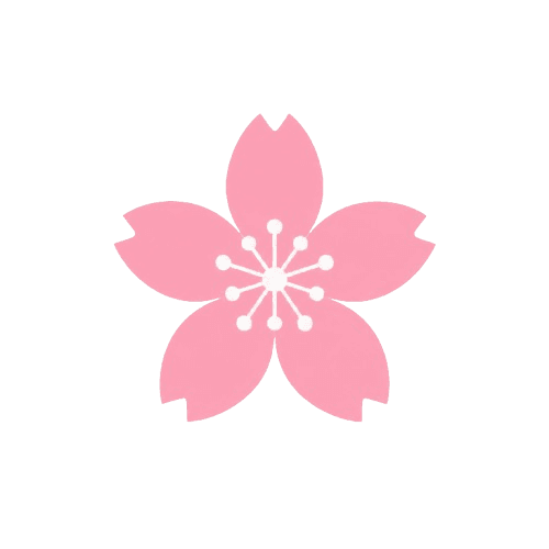 Ayraverse logo