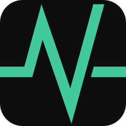 Nerva Biometric logo