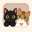PurrPlay - Games for Cats #3 logo