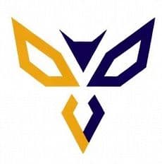 Veriwasp logo