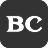 BankStatementConverterAI.online logo