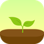 Forest App logo