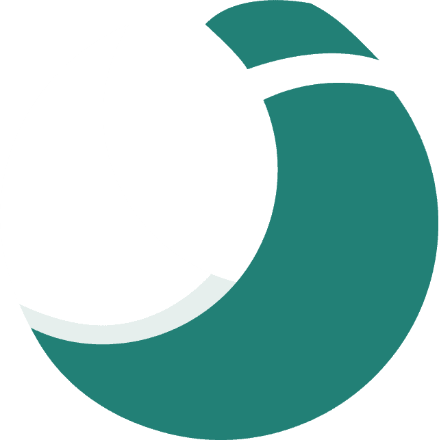 Savvy Nomad logo
