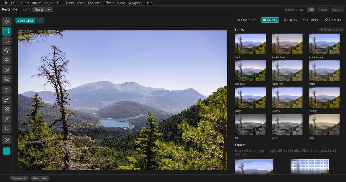 Listing image