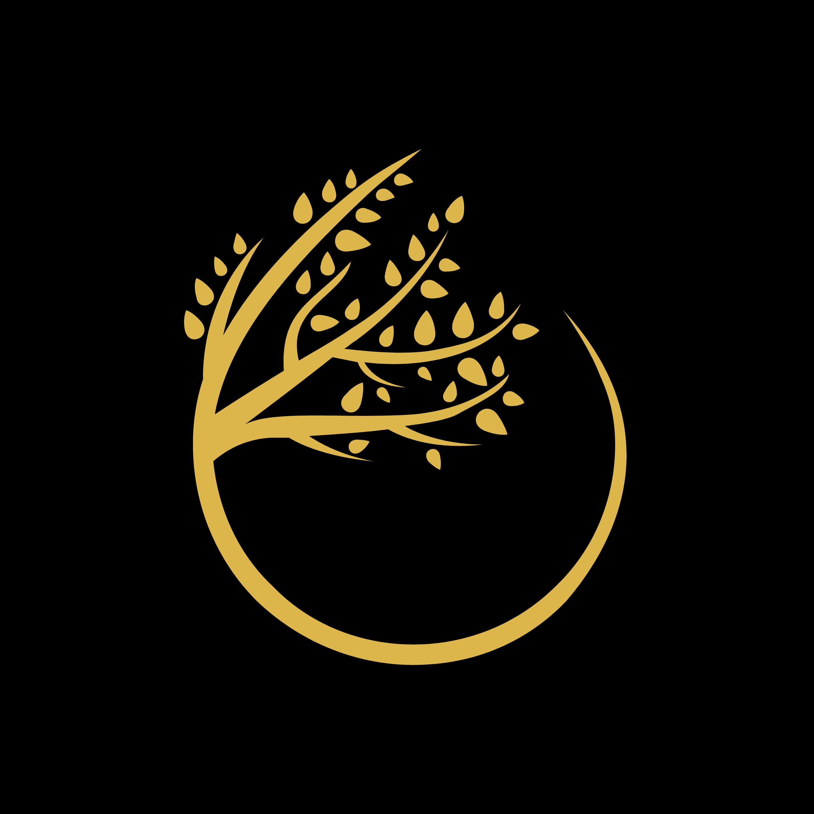Radial Roots logo